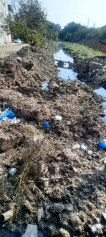 Mosquito Menace in Hyderabad's Bolarum Ward 8 Sparks Health Fears During Exam Season