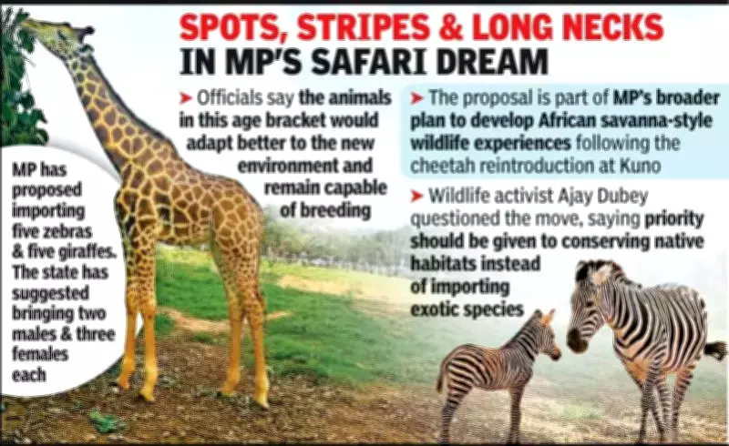 MP Seeks Fast-Track Import of Zebras, Giraffes from Botswana for Wildlife Programme