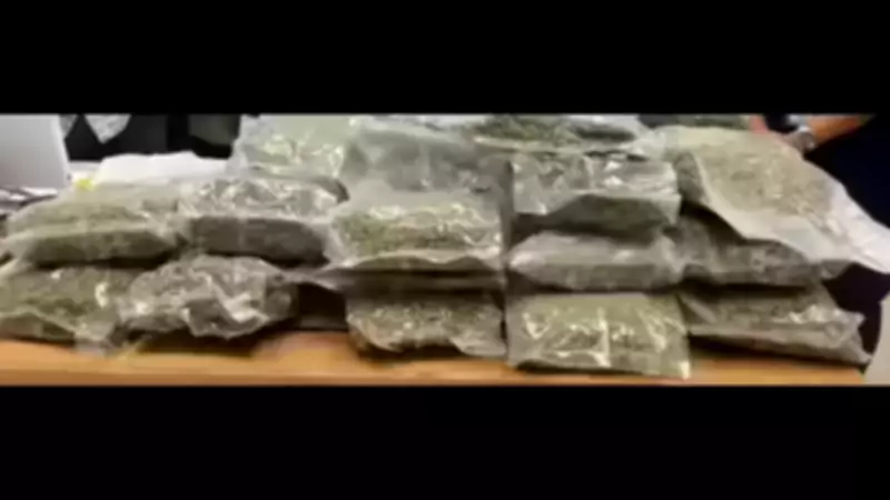 Mumbai Delivery Executive Detained at Lucknow Airport with Rs 8.5 Crore Hydroponic Weed