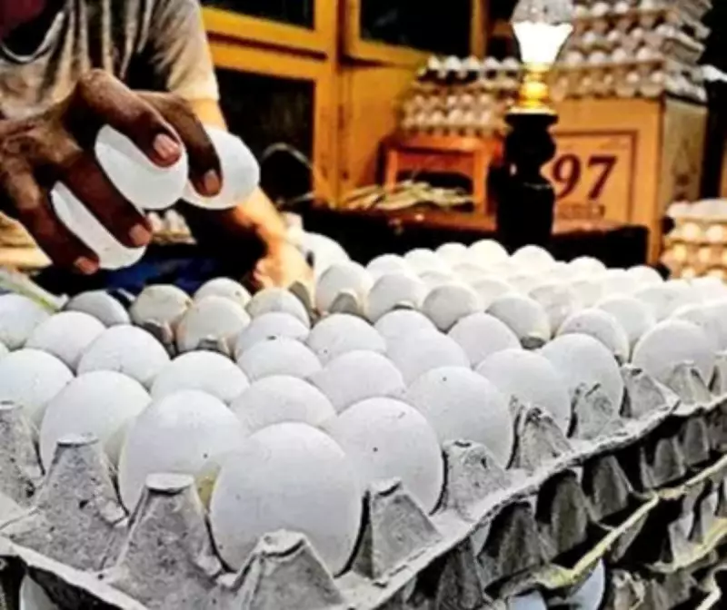 Mumbai Food Prices Shift as Middle East Export Halt Impacts Eggs and Edible Oil