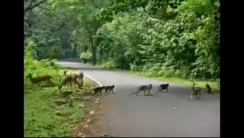 Mumbai to Boost Aarey Colony Security with 33 New Personnel to Combat Encroachments