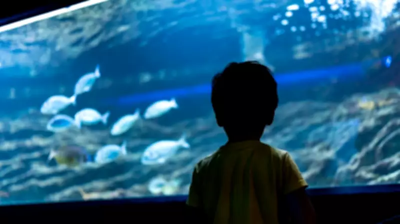 Mumbai's Byculla Zoo to Unveil Major Aquarium and Bird Aviary by December 2026