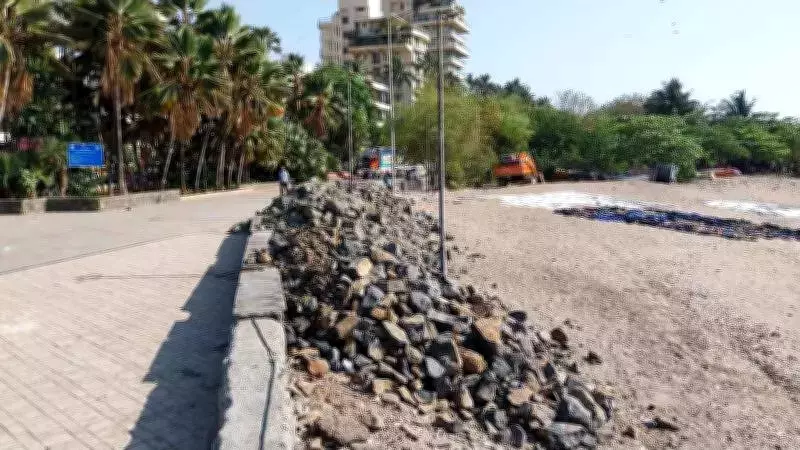 Mumbai's Carter Road Cleanup: Volunteers Remove 250 kg of Marine Litter