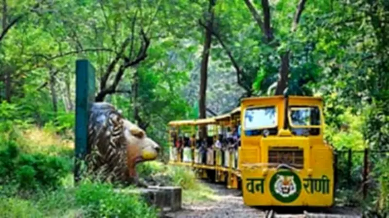 Mumbai's Iconic 'Van Rani' Train Resumes Service After Major Overhaul
