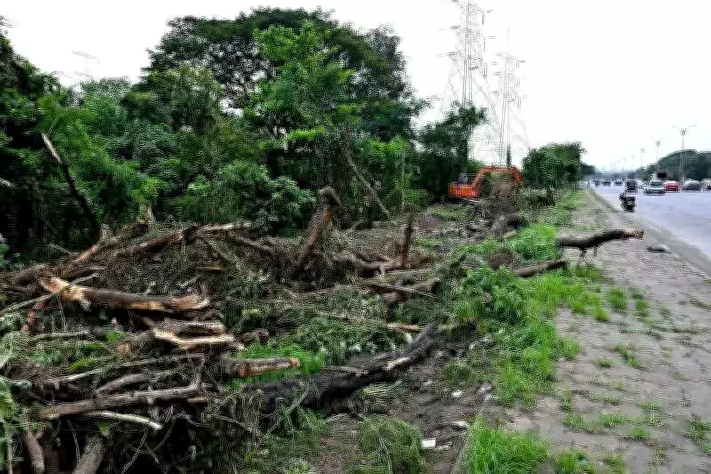 Mysuru Forest Officials Suspect Organized Crime in Illegal Felling of 46 Trees