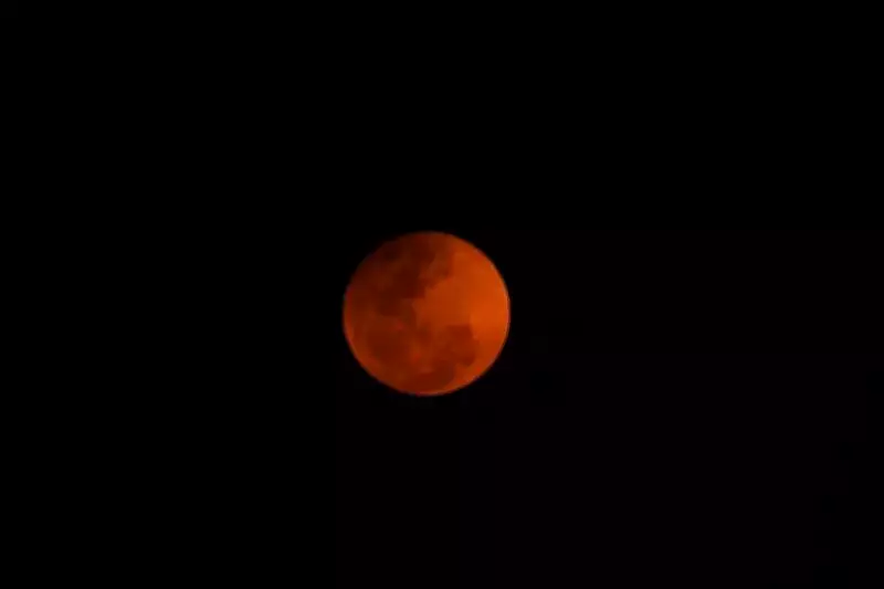 Mysuru Temples Adjust Schedules for Lunar Eclipse, Special Pujas Performed