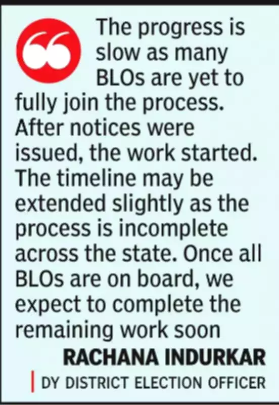 Nagpur Voters Face EPIC Number Mapping Woes with 2002 Voter List, Causing Stress