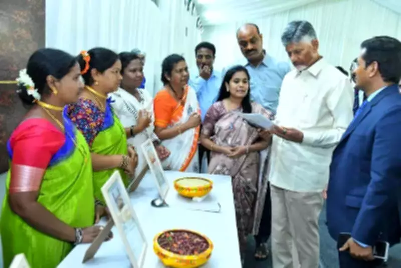Naidu Directs Collectors to Lead Investment Drive, Unveils Tourism & Industrial Plans