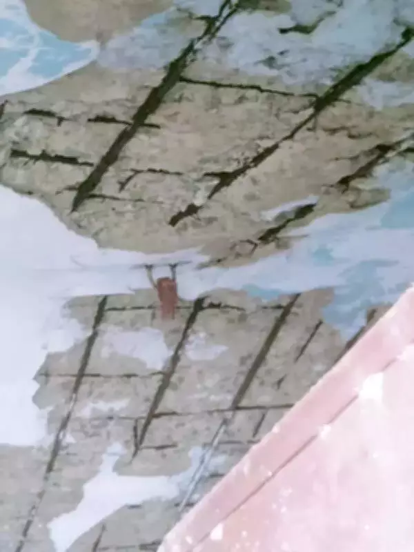Namakkal's Indira Gandhi Housing Scheme Homes in Critical Condition After 30 Years
