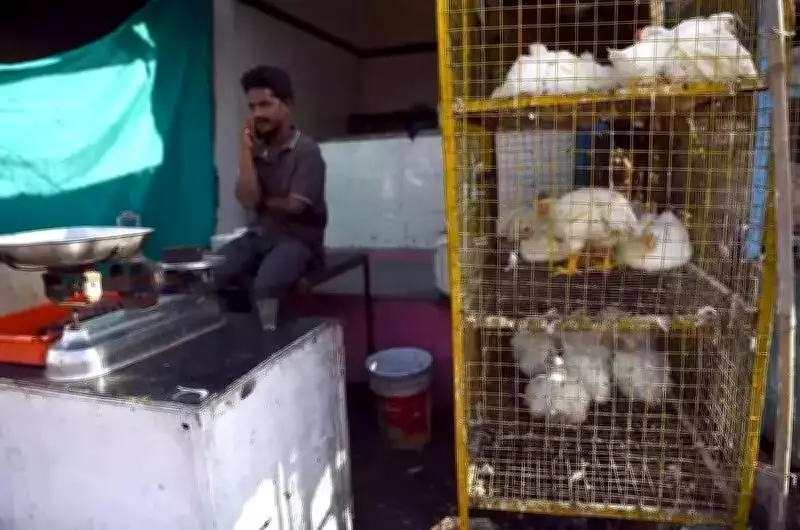 Nandigama Municipality Bans Non-Vegetarian Food for 10 Days Amid Diarrhoea Outbreak