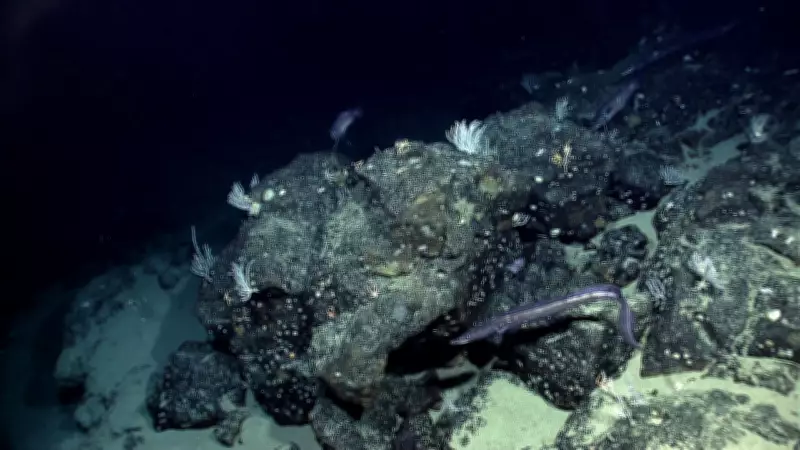 NASA's Space Satellites Chart Ocean Floor Using Gravity, Revealing Hidden Underwater World