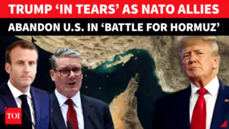 NATO Crisis Deepens as Trump Lashes Out at European Allies Over Iran War Stance