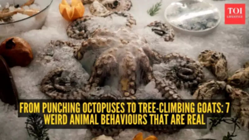 Nature's Oddities: 7 Bizarre Animal Behaviors That Are Scientifically Proven
