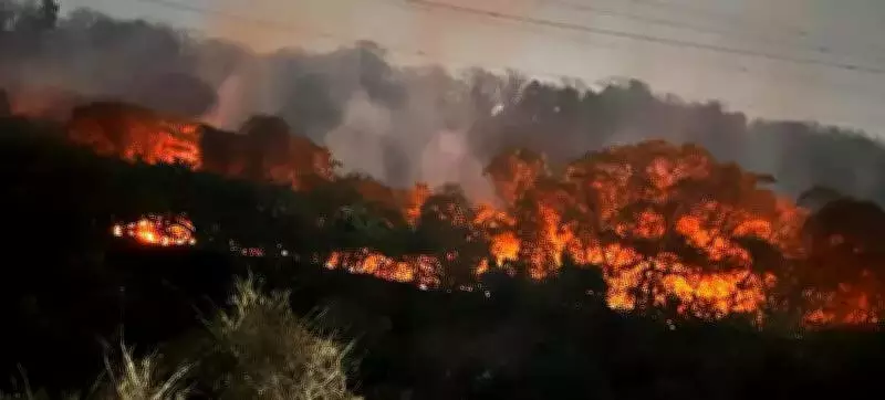 Navi Mumbai Belapur Hills Fire Prompts CMO Action, Activists Demand Probe