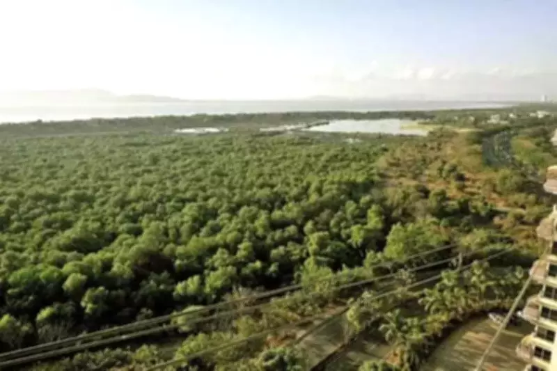 Navi Mumbai's 290-Week Mangrove Cleanup Honors Women Volunteers on International Women's Day