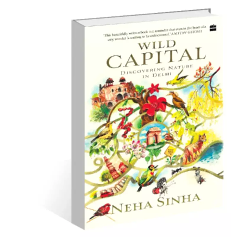 Neha Sinha's 'Wild Capital' Reimagines Delhi as a Thriving Urban Wilderness