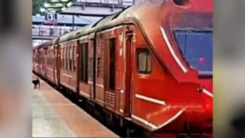 New Daily Passenger Train Launched Between Patna and Thawe in Bihar