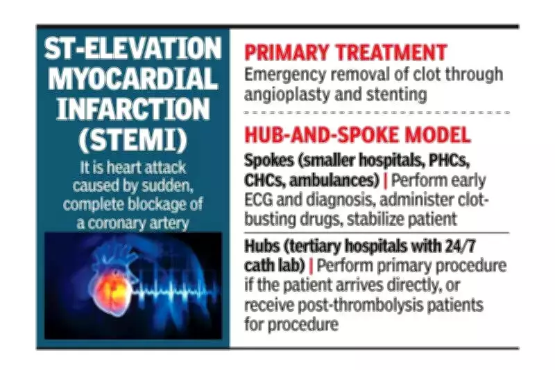 New Study: Delayed Stenting Up to 48 Hours After Heart Attack Saves Lives Effectively