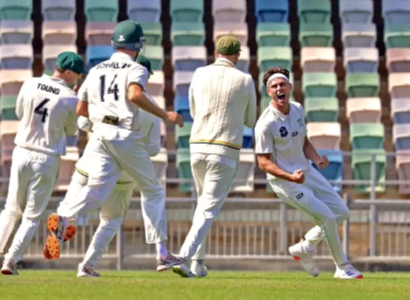 New Zealand Cricketer Creates History, Takes Five Wickets in Five Balls