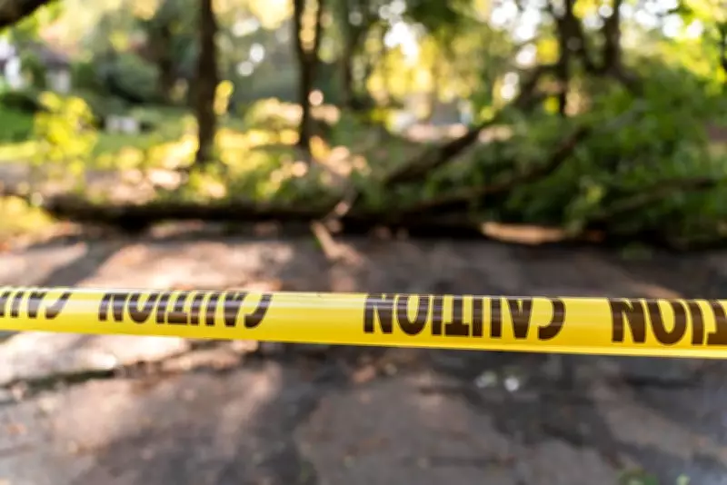 NGT Closes Narela Tree Felling Case, Mandates Strict Legal Action