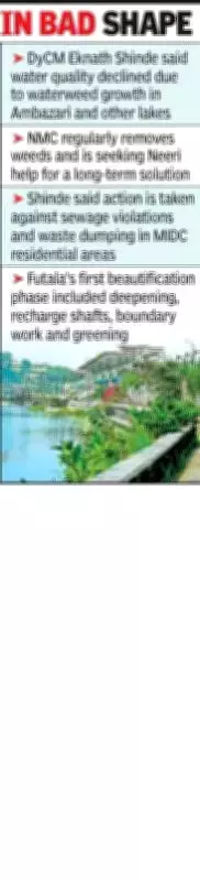 NGT Directs Nagpur Civic Body to Submit Futala Lake Revival Plan Amid Pollution Concerns