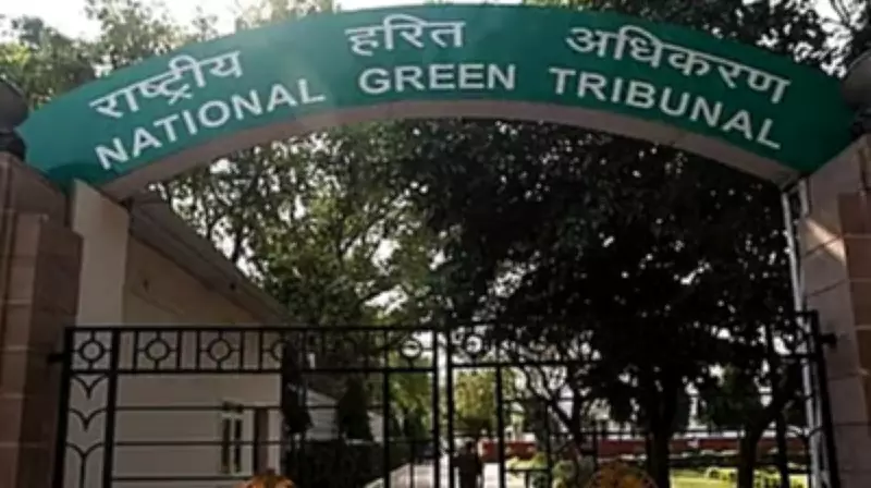 NGT Disposes Case Against Netravati Riverfront Development Project in Karnataka