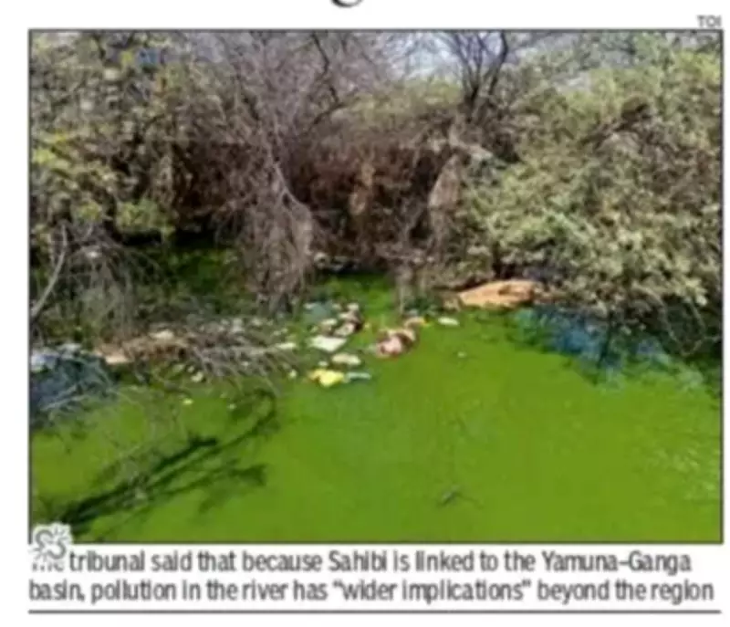 NGT Expands Sahibi River Pollution Case, Brings in National Ganga Mission