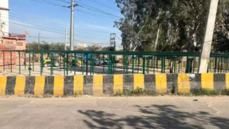 NGT Issues Notice to Ludhiana Authorities Over Greenbelt Encroachment Non-Compliance