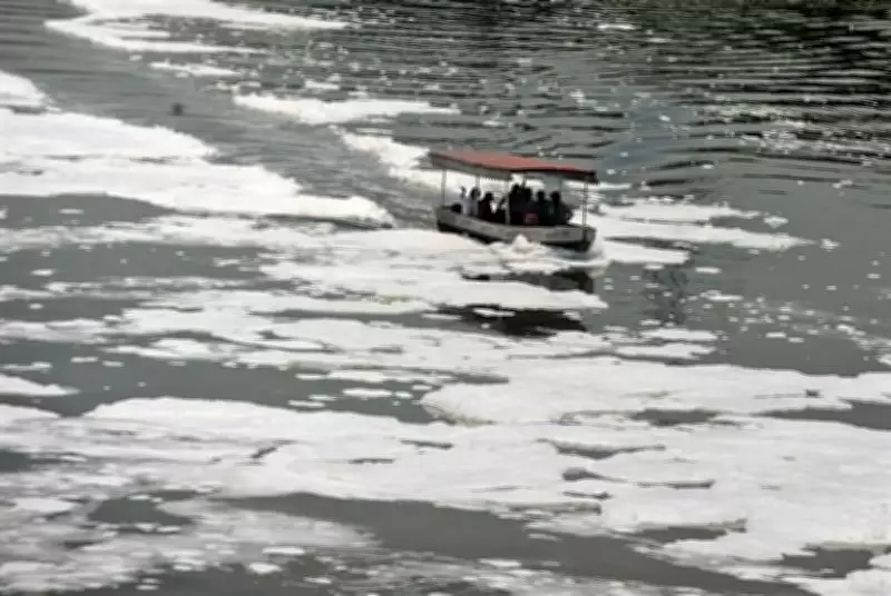 NGT Slams DDA and DPCC for Environmental Violations in Delhi