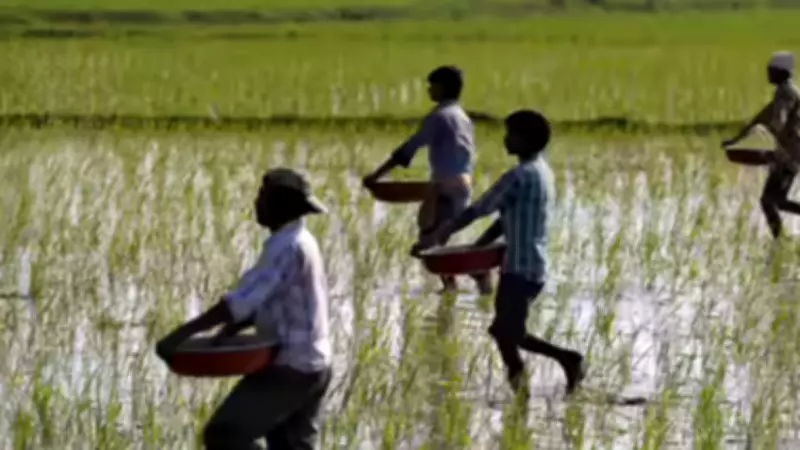 Nilgiris Leads Tamil Nadu in 100% Farmer ID Registration, Coimbatore Ranks Fifth