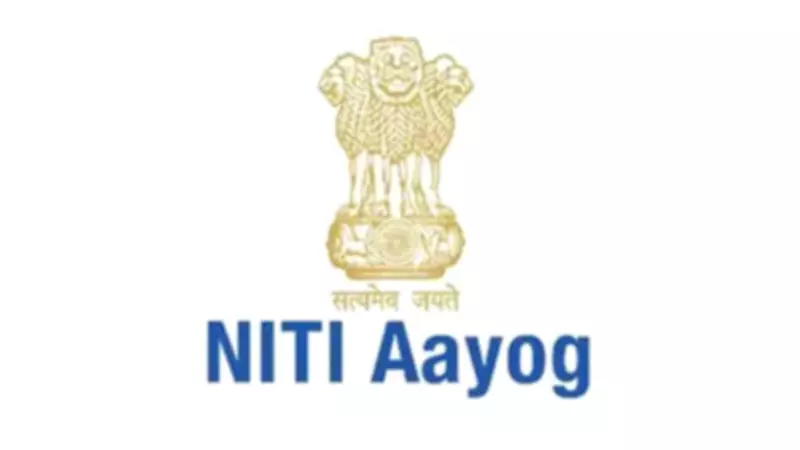 NITI Aayog Urges India to Boost Sports Goods Manufacturing Amid Global Competition
