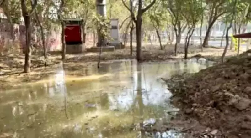 Noida Residents Warn of Another Uncovered Ditch Near School, Citing Safety Risks