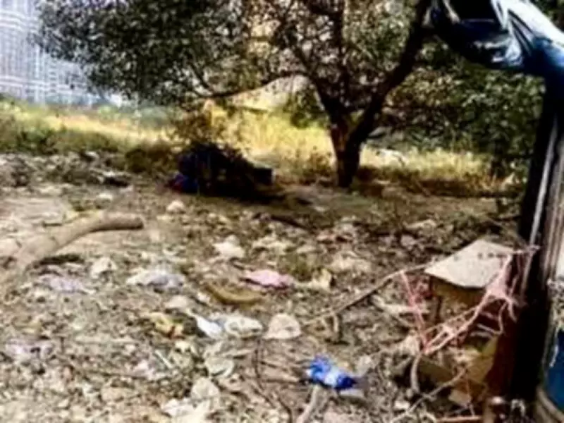 Noida Sector 75 Residents Protest Over Neglected Roads and Parks