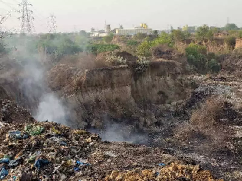 Noida's Horticulture Waste Crisis: Fires and Health Hazards Plague Residents