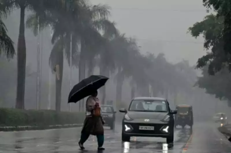 North India Deluge: Haryana, Punjab See Over 1000% Excess Rainfall, Crops Damaged