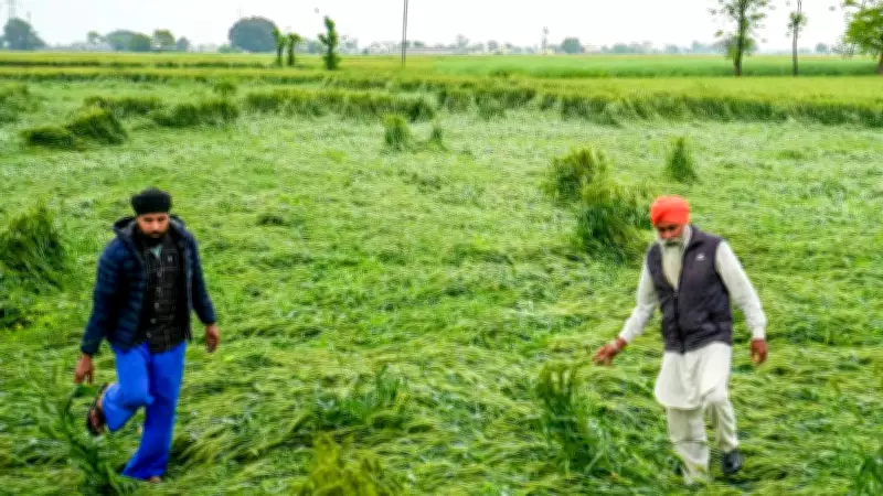 NRI Property Investment 2025: Can NRIs Buy Agricultural Land in India?