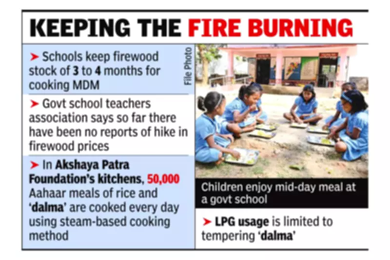Odisha's Mid-Day Meal Kitchens Defy LPG Crisis with Traditional Firewood, Steam Tech