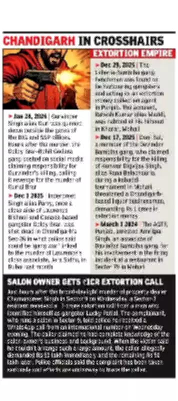 Organized Crime Surge in Chandigarh & Mohali: Gangs Wage Deadly Turf War