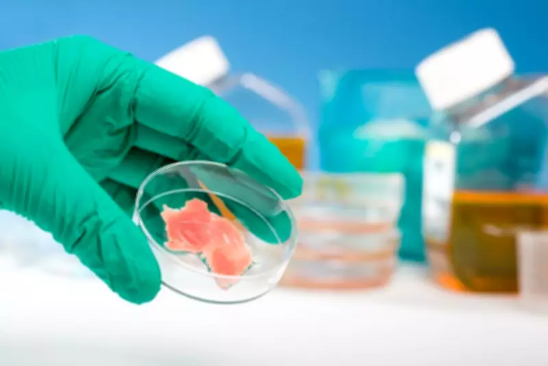 Organoids: Lab-Grown Human Tissues Revolutionize Biomedical Research