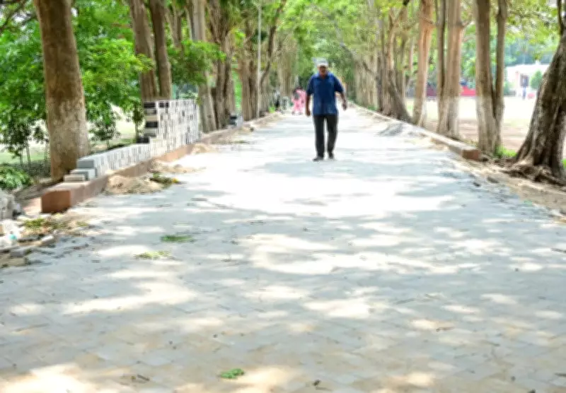 Orissa High Court Halts Concrete Paving at Satyabrata Stadium Walking Track