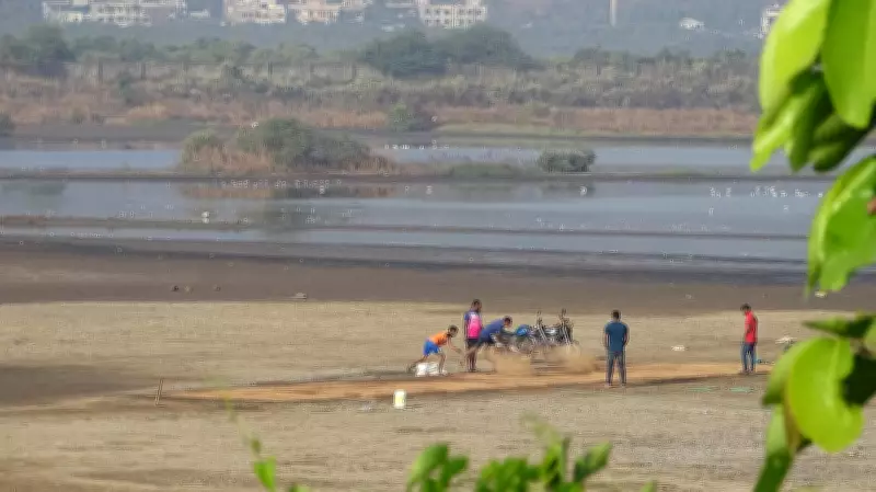 Over 23,000 Maharashtra Wetlands Await Legal Protection Amid Bureaucratic Delays