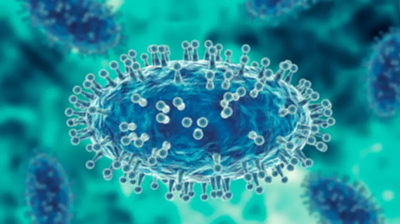 Over 50% of Global Population May Contract HPV at Least Once in Lifetime