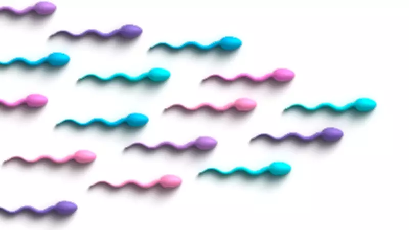 Oxford Study Suggests Frequent Ejaculation May Improve Sperm Health