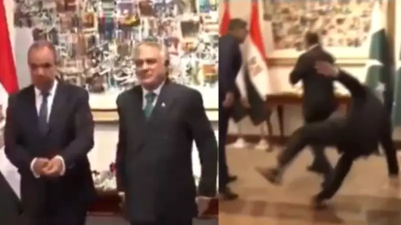 Pakistan Deputy PM Ishaq Dar Stumbles at Egyptian FM Welcome Ceremony