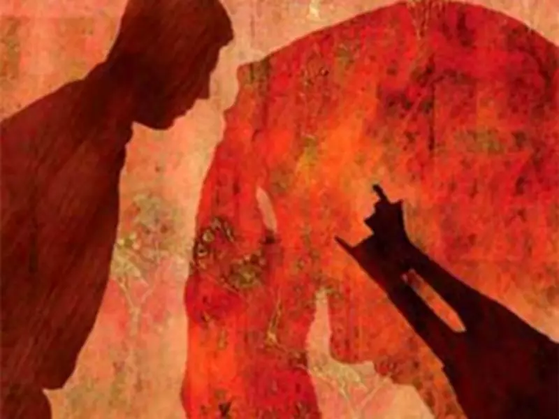 Pakistan Honour Killing: Man Axes Wife and Five Children to Death in Punjab