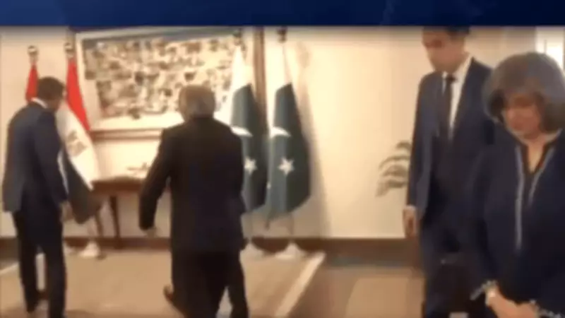 Pakistan's FM Dar Stumbles at Diplomatic Welcome for Egypt's FM Ahead of Middle East Talks