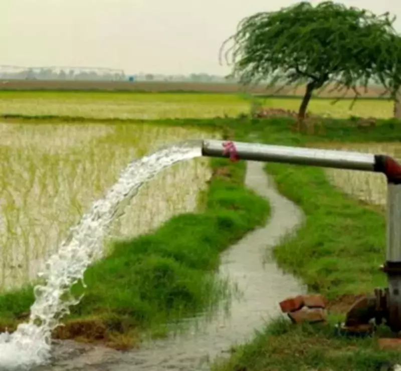 Parliamentary Panel Alarms Over Punjab's Depleting, Contaminated Groundwater