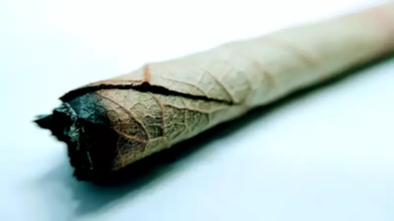 Passenger Faces Legal Action for Smoking Beedi on Delhi-Goa Flight