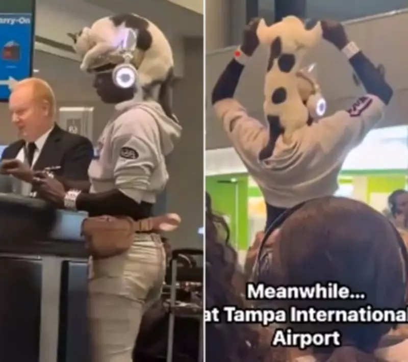 Passenger's Feline Hat Hack: Sneaking Cat onto Plane Sparks Travel Debate