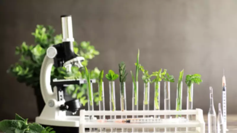 Patanjali Research Foundation Transforms Ayurveda into Evidence-Based Science